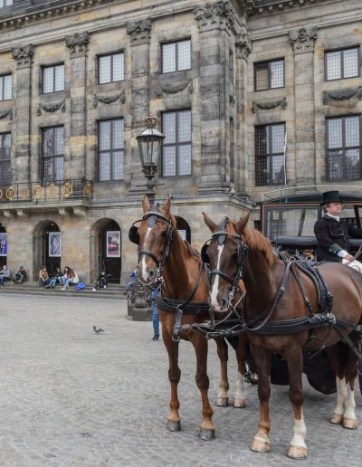 Tour a pie en Amsterdam