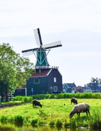 Tour privado a los molinos de Zaanse-Schans