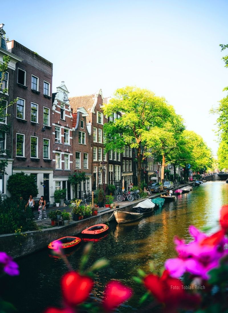 Tour canales y siglo de oro de Amsterdam