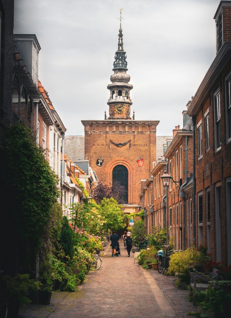Excursión a Haarlem y Leiden