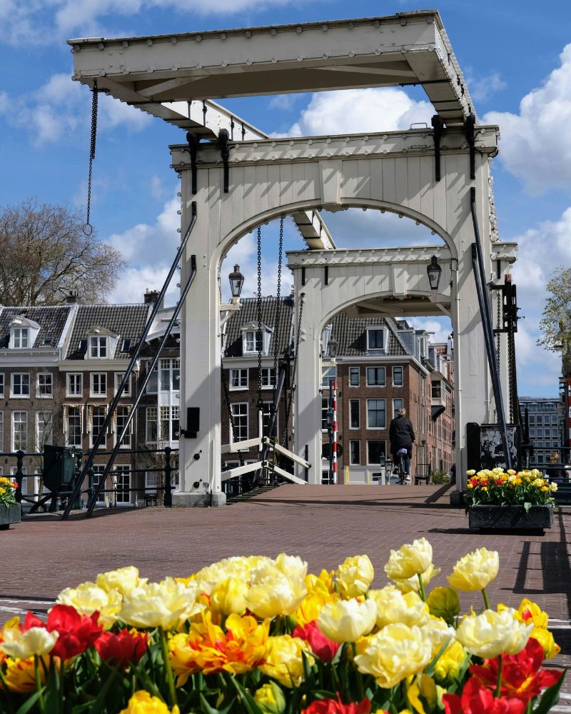 Visita guiada barrio judío de Amsterdam