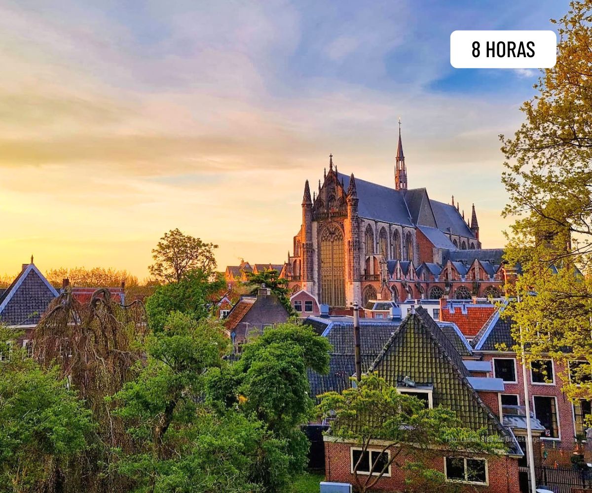 Excursión Haarlem y Leiden