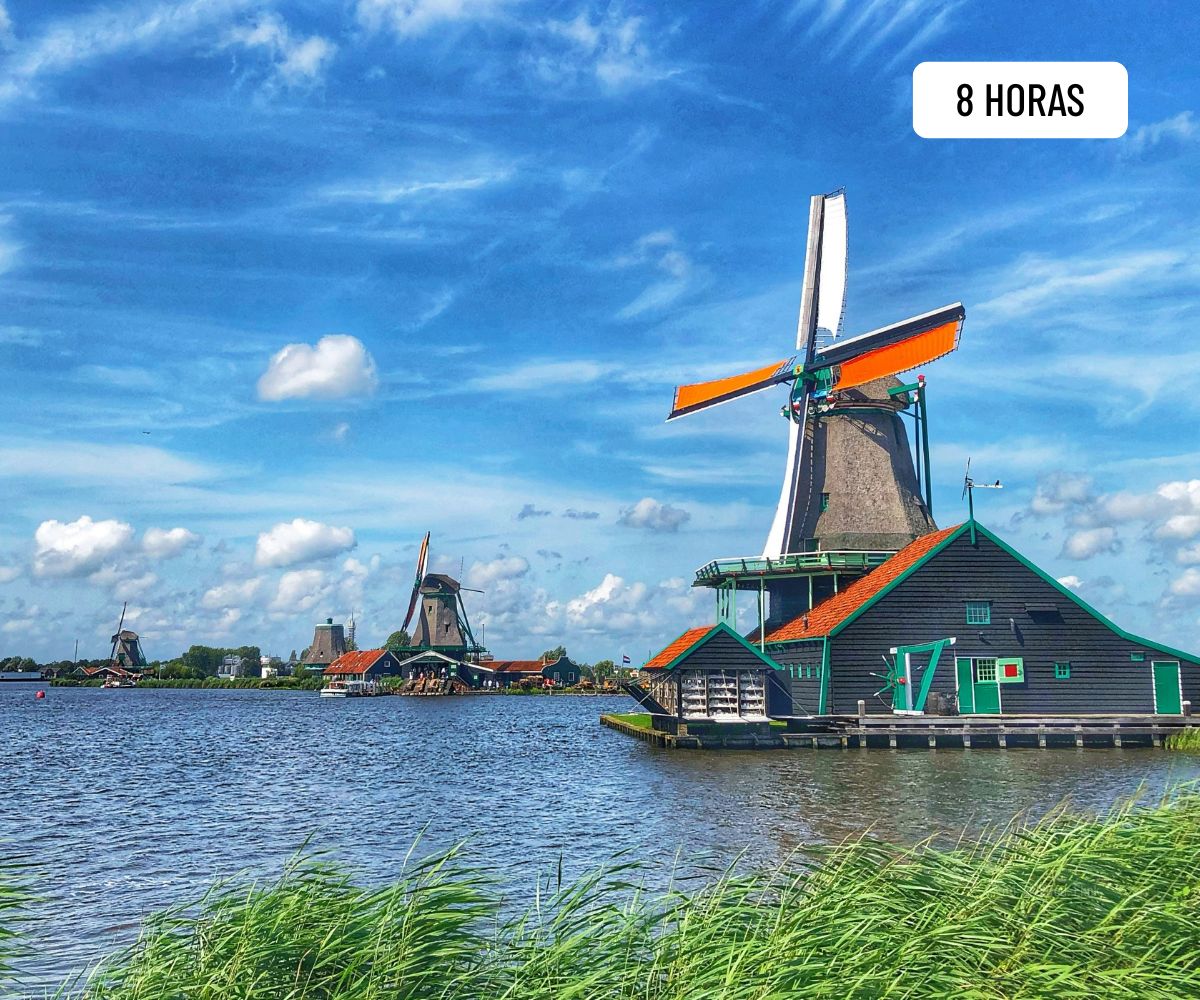 Tour molinos de Amsterdam