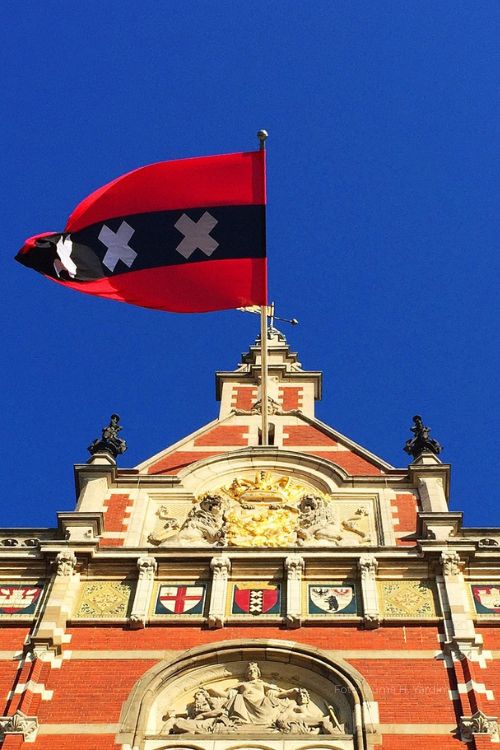 Tours privados en Amsterdam en español